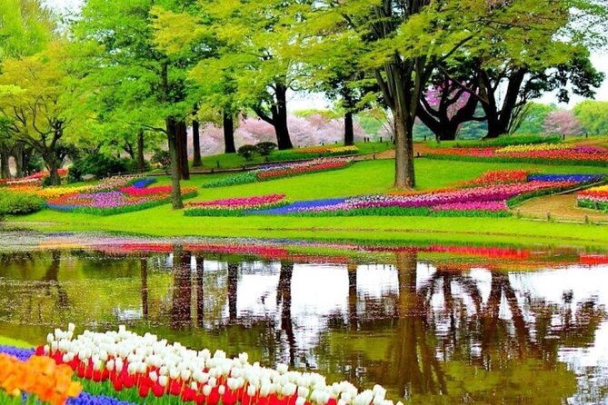 private-tour-to-the-tulip-experience-with-keukenhof-visit