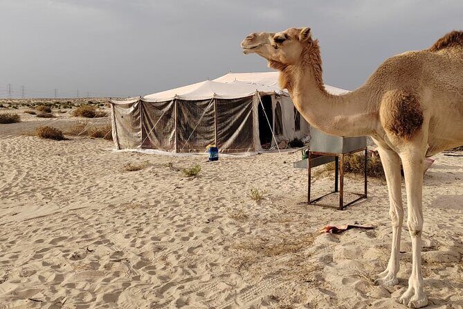 Private Tour to the Yellow Lake and Sand Dunes - FAQ