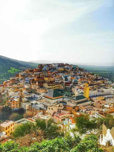 Private Tour: To Volubilis /Moulay Idriss /Meknes From fes - Why This Tour Offers Great Value