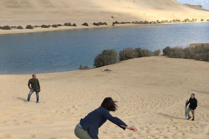 Private Tour to Wadi El Rayan Wadi Al Hitan & Fayoum Waterfalls - Final Thoughts: Who Should Consider This Tour?
