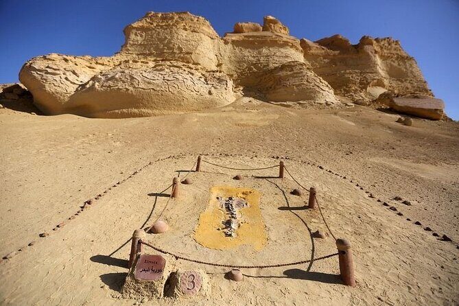 Private Tour to Whales Valley & Wadi El Rayan Waterfalls in El Fayoum from Cairo - An In-Depth Look at the Tour Experience