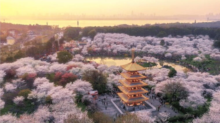 private-tour-to-wuhan-yellow-crane-tower-east-lake-by-ferry