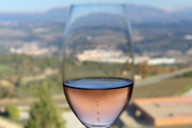 private-tour-top-three-organic-wineries-local-lunch-included