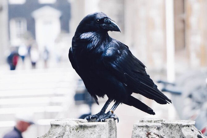 private-tour-tower-of-london-and-st-pauls-cathedral