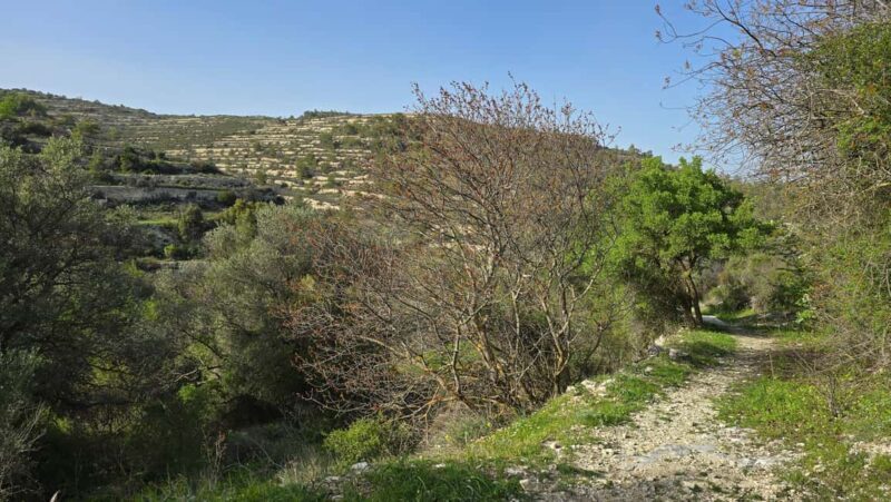 PRIVATE TOUR | Troodos Mountain: Waterfall, Villages & Lunch - Final Thoughts
