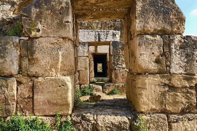 Private Tour: Tyre, Sidon and Maghdouche Day Trip from Beirut - Who Would Love This Tour?