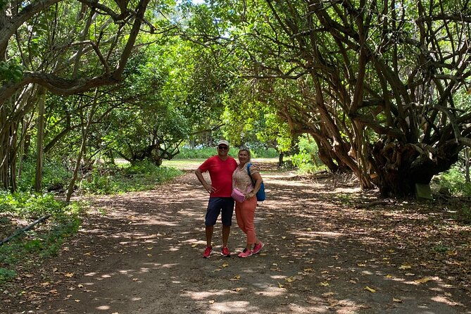 private-tour-ultimate-north-shore-experience