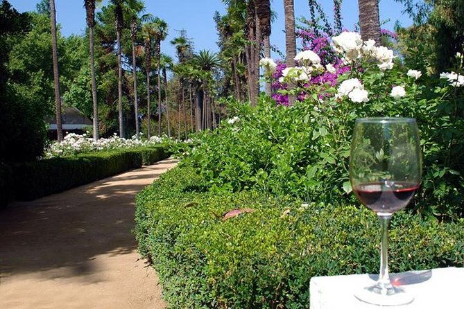 private-tour-undurraga-vineyard-experience-with-premium-wine-tasting