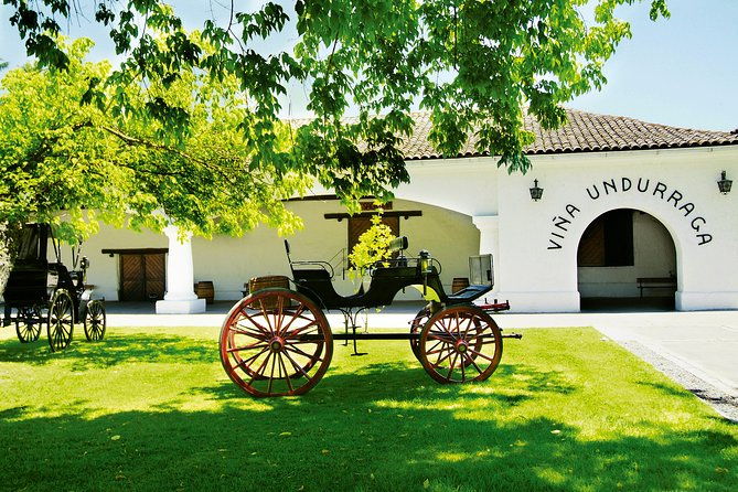 private-tour-undurraga-vineyard-experience-with-premium-wine-tasting