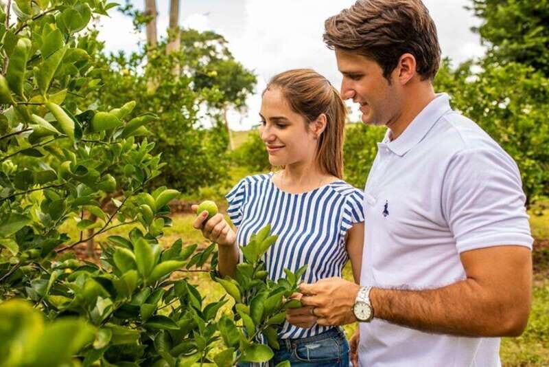 Private Tour Uxmal vintage Land Rover safari & Mayan brunch - Key Points