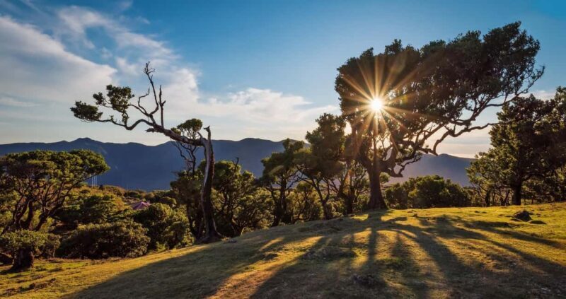 Private Tour VIP - Exploring Madeira at Your Own Pace: What to Expect