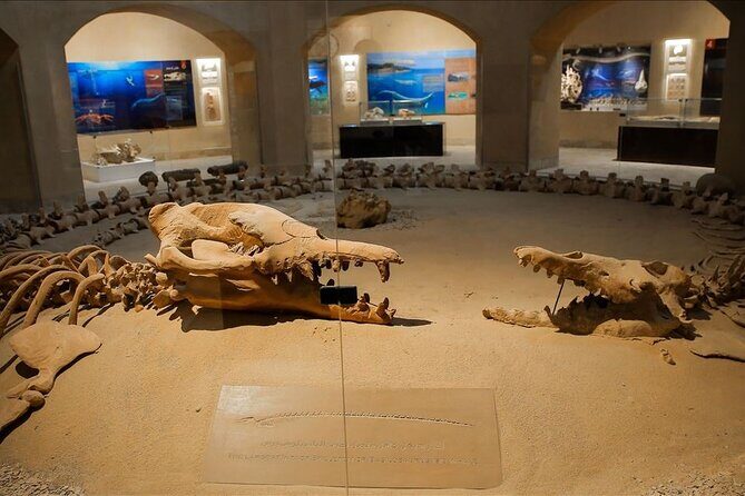 Private Tour Whales Valley And Wadi El Rayan Waterfalls In El Fayoum From Cairo - Key Points