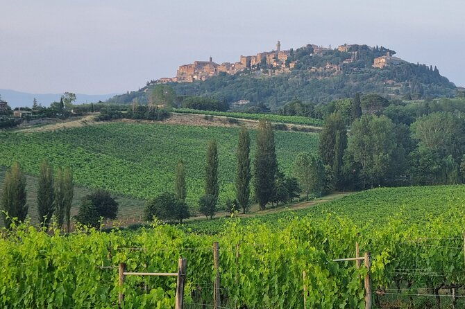 private-tour-wine-and-cheese-a-perfect-combinations-val-orcia