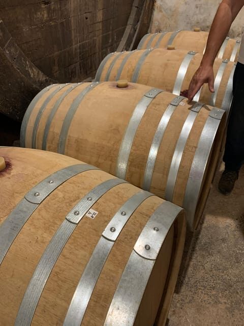 Private tour: Wine tasting, experience real Mallorca - A Closer Look: What the Tour Offers