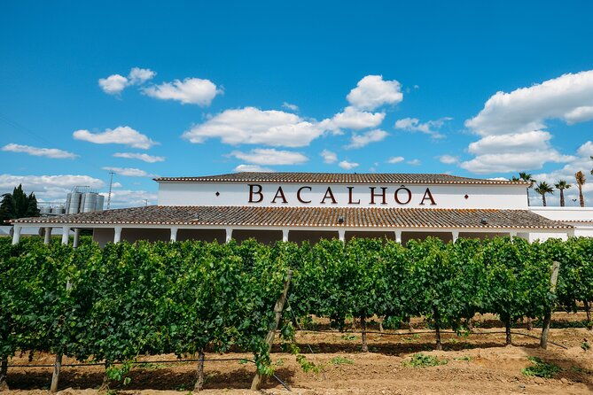 private-tour-wine-tasting-quinta-bacalhoa-jose-maria-fonseca-setubal-region