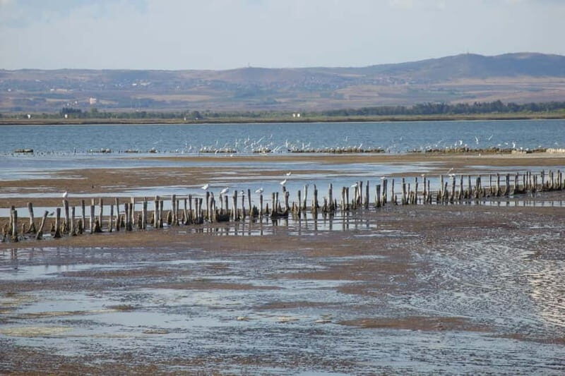 Private Tour: Wine Tasting Tour, Mud Baths, History & more - How the Experience Comes Together