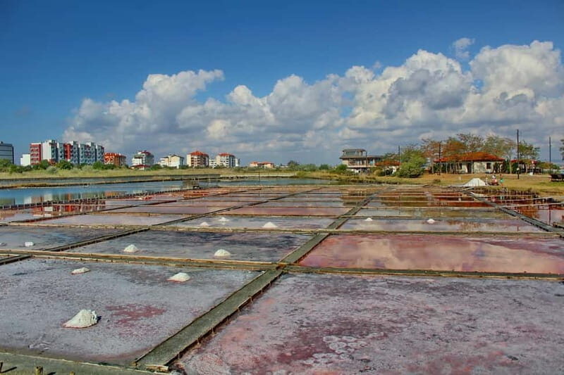 Private Tour: Wine Tasting Tour, Mud Baths, History & more - Who Will Love This Tour?