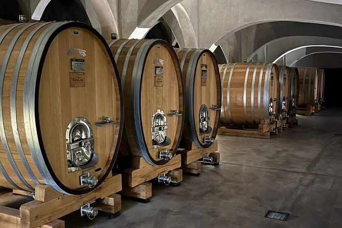 private-tour-wineries-for-the-day-in-mendoza