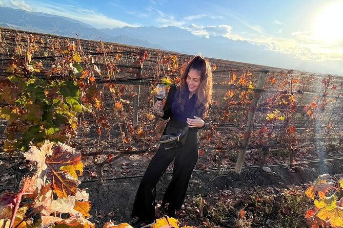 private-tour-wineries-for-the-day-in-mendoza