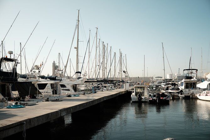 private-tour-with-dolphin-watching-in-algeciras-bay