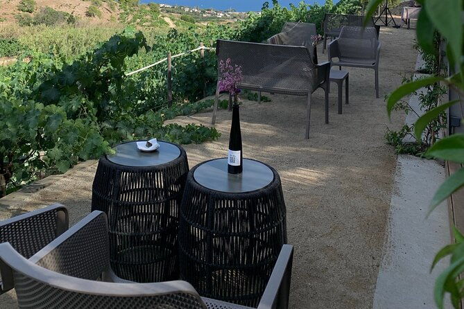 private-tour-with-navigation-and-visit-to-alella-vineyards