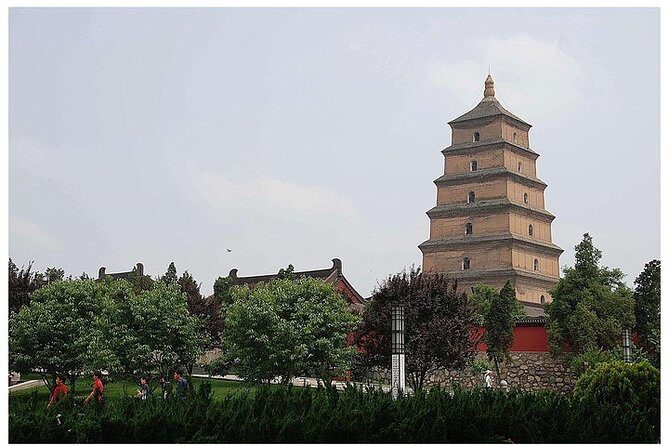 Private Tour: Xi'an Half Day - Shaanxi History Museum and Big Wild Goose Pagoda - A Detailed Look at the Tour Experience