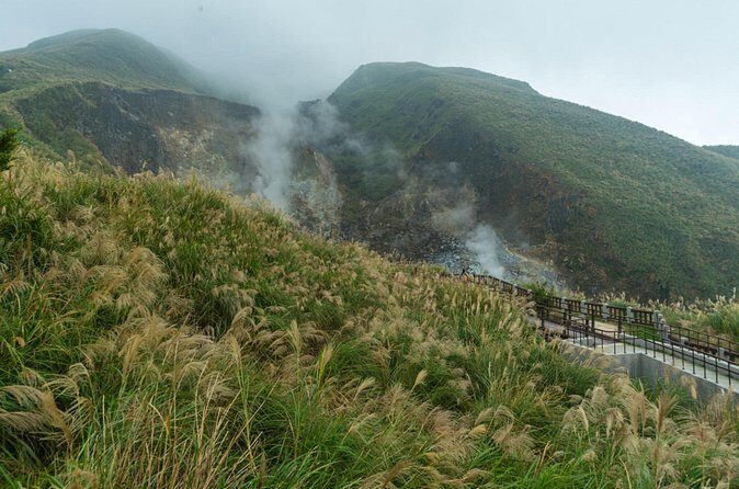 Private Tour Yangmingshan NP Beitou Hot Spring Park and Tamsui - Who Should Consider This Tour?