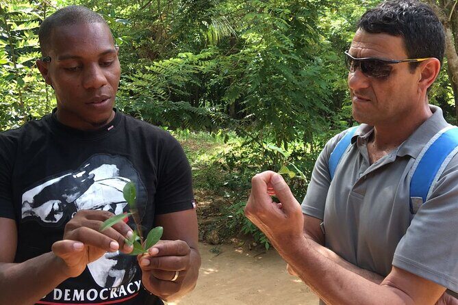 Private Tour Zanzibar Unique Stone Town with spice Farm Plantations - Who Will Love This Tour?