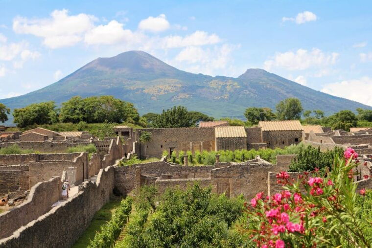 private-tour_from-naples-portpompeiivesuvius-tour