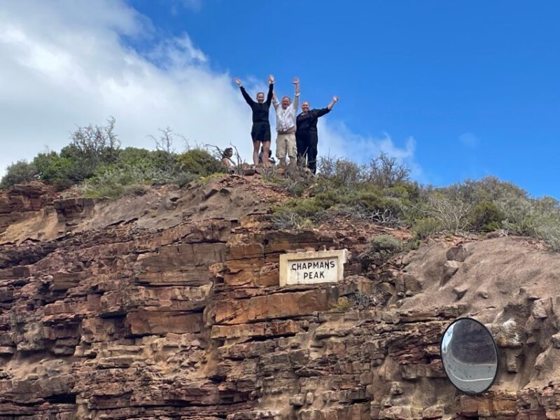 Private Tour:Cape of Good Hop>Chapmans >Penguin>Seal island - What to Expect from the Cape of Good Hope Tour