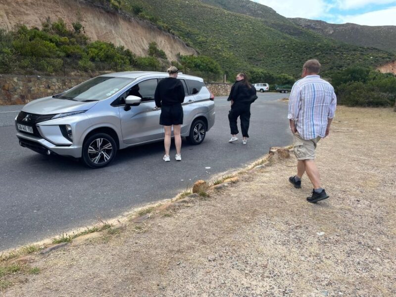 Private Tour:Cape of Good Hop>Chapmans >Penguin>Seal island - Practical Tips for Booking and Enjoying the Tour