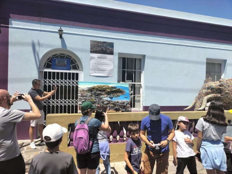 Private Tour:Cape Peninsula &Penguin Beach, Cape Point &more - Key Points