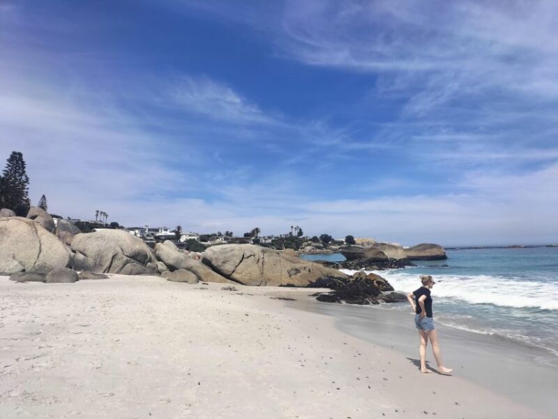 Private Tour:Cape Peninsula &Penguin Beach, Cape Point &more - The Experience from the Reviews: What Travelers Say