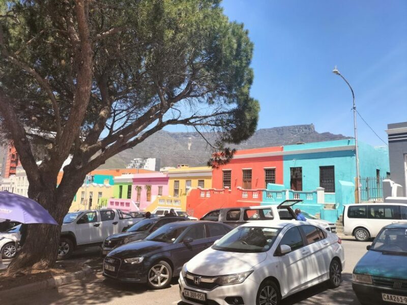 Private Tour:Cape Peninsula &Penguin Beach, Cape Point &more - Who Will Love This Tour?