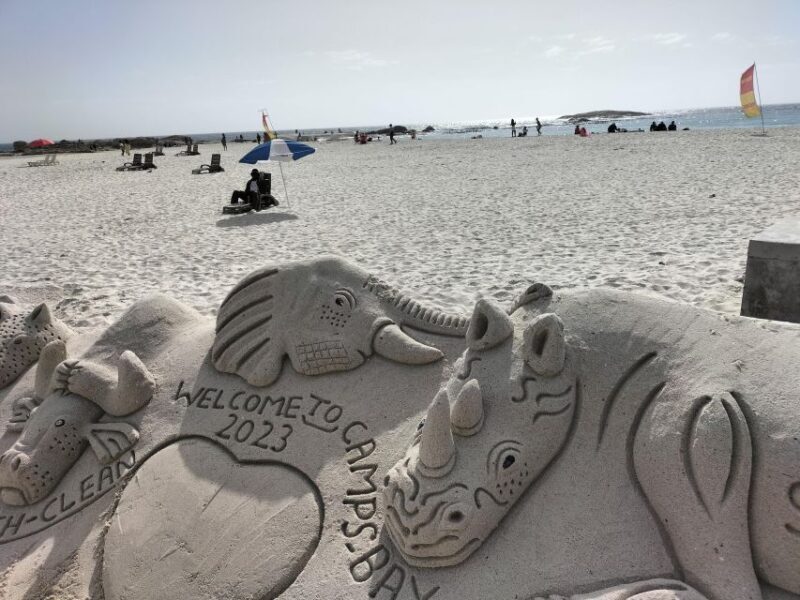 Private Tour:Cape Peninsula &Penguin Beach, Cape Point &more - Final Thoughts: Is It Worth It?