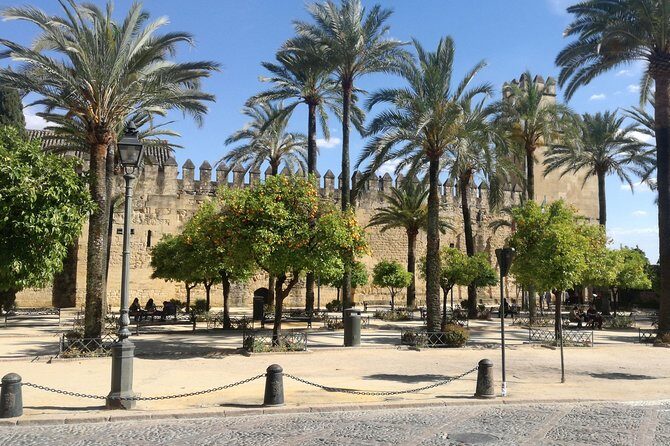 Private tourist route in Córdoba - A Guide to the Córdoba Private Tour Experience