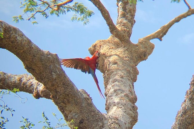 private-tours-and-transfer-costa-rica