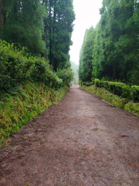 private-tours-best-spots-views-in-sao-miguel-island-3