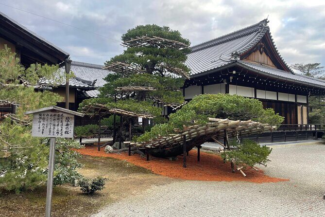 Private Tours by Luxurious Vans in Kyoto, Osaka, Nara. - An In-Depth Look at the Kyoto, Nara, and Osaka Private Tour