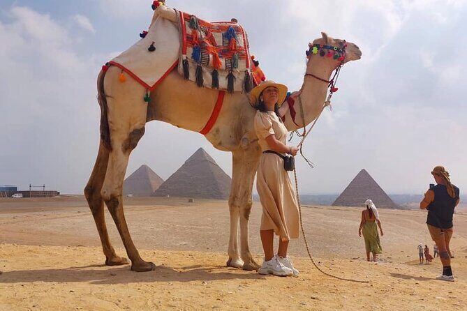 Private Tours Giza Pyramids, Sphinx, New Grand Egyptian Museum - The Itinerary Breakdown: What to Expect