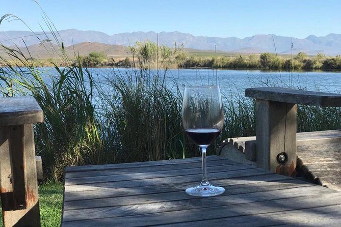 Private Tours in Cape Town - Exploring Cape Town with a Private Touch
