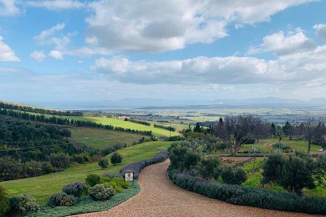 Private Tours in Cape Town - The Sum Up