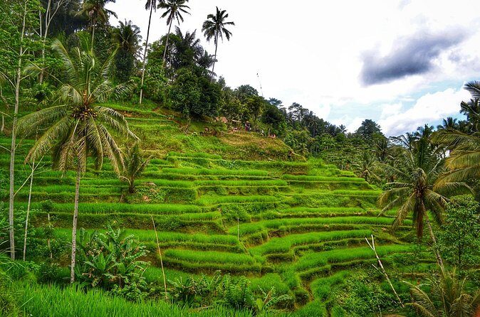 Private Tours : Natural Hot Spring, Batur Volcano and Waterfall - Final Thoughts