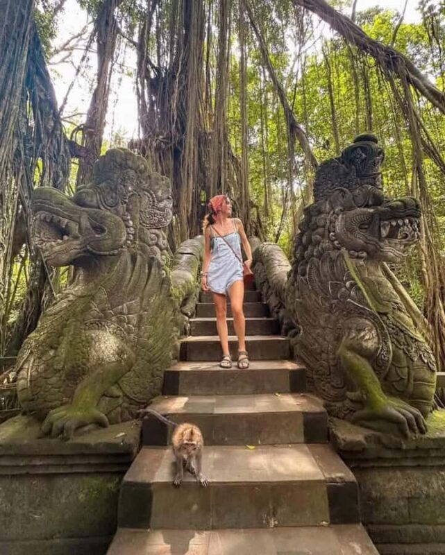 Private Tours: Tegallalang With Monkey Forest And Water Fall - Key Points