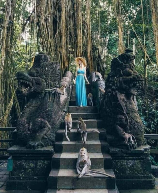 Private Tours: Tegallalang With Monkey Forest And Water Fall - Practical Details: What to Expect and How to Prepare