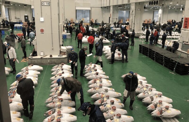 Private Toyosu & Tsukiji Market Adventure with Tuna Auction - An In-Depth Look at the Itinerary