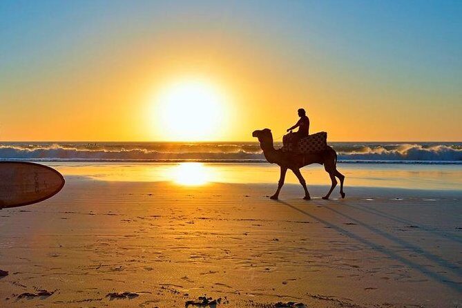 Private transfer Agadir - Essaouira / transfert privé Agadir - Essaouira - Why Choose This Transfer?