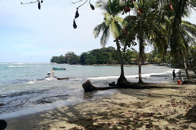private-transfer-airport-or-san-jose-hotels-to-puerto-viejo-limon
