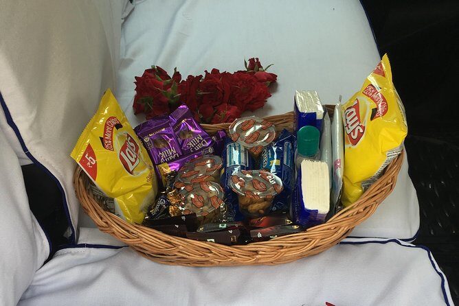 Private Transfer: Delhi Airport to Delhi Hotel - Who Should Book This Transfer?