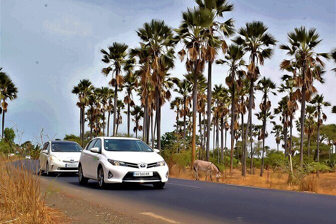 Private Transfer DSS AIBD Airport - Riu Baobab Hotel (two ways) - Returning to DSS Airport: Smooth and Punctual